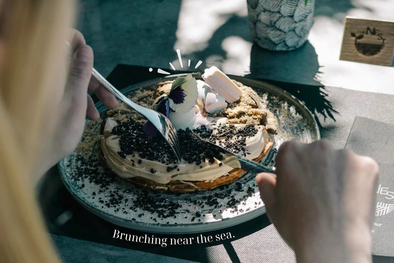 the-nest8.jpg?v=0 the-nest8.jpg?v=0