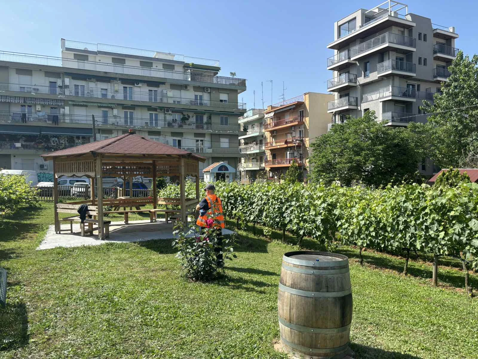 astikos-ampelonas1.jpg?v=0 astikos-ampelonas1.jpg?v=0