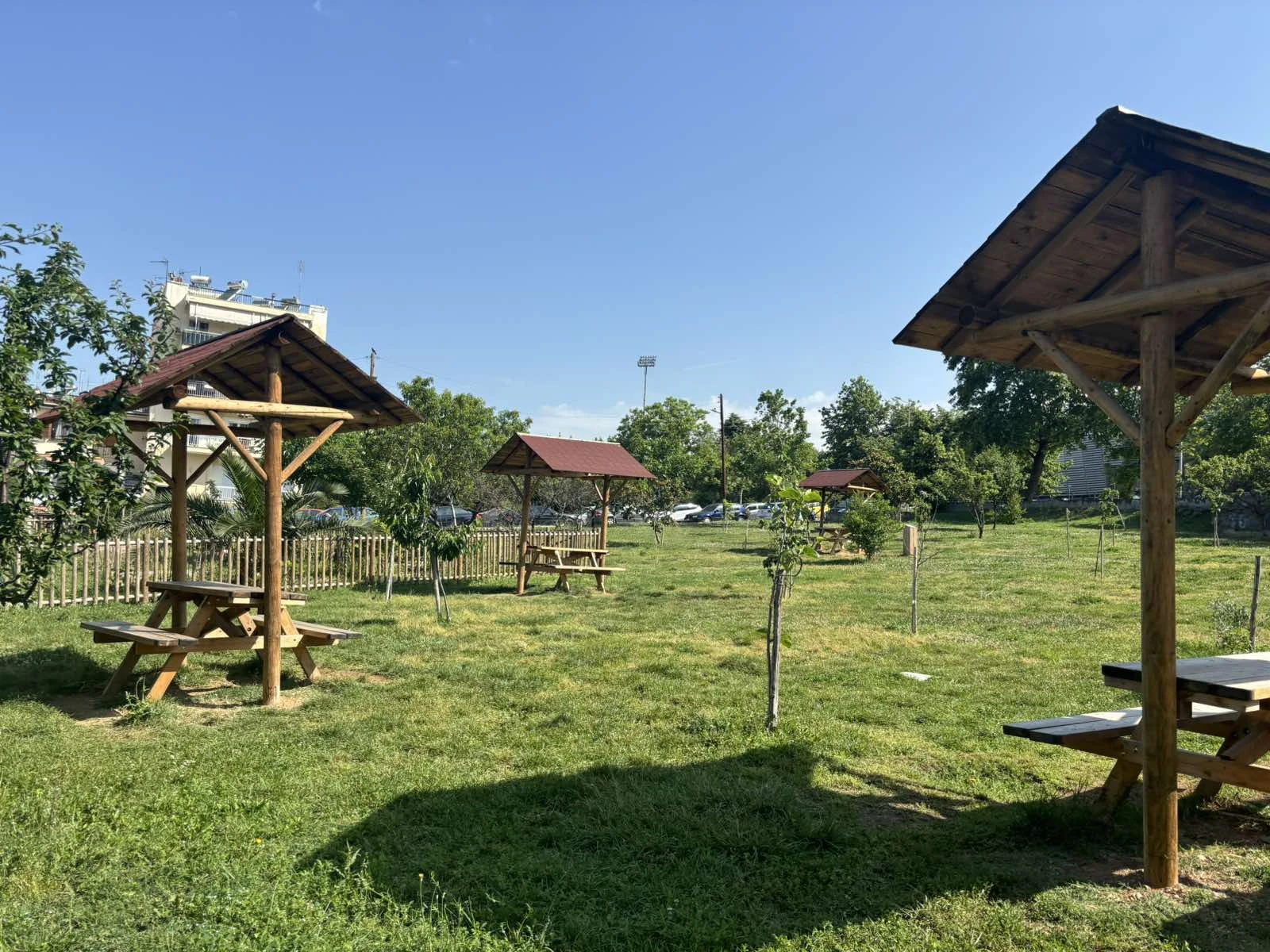 astikos-ampelonas7.jpg?v=0