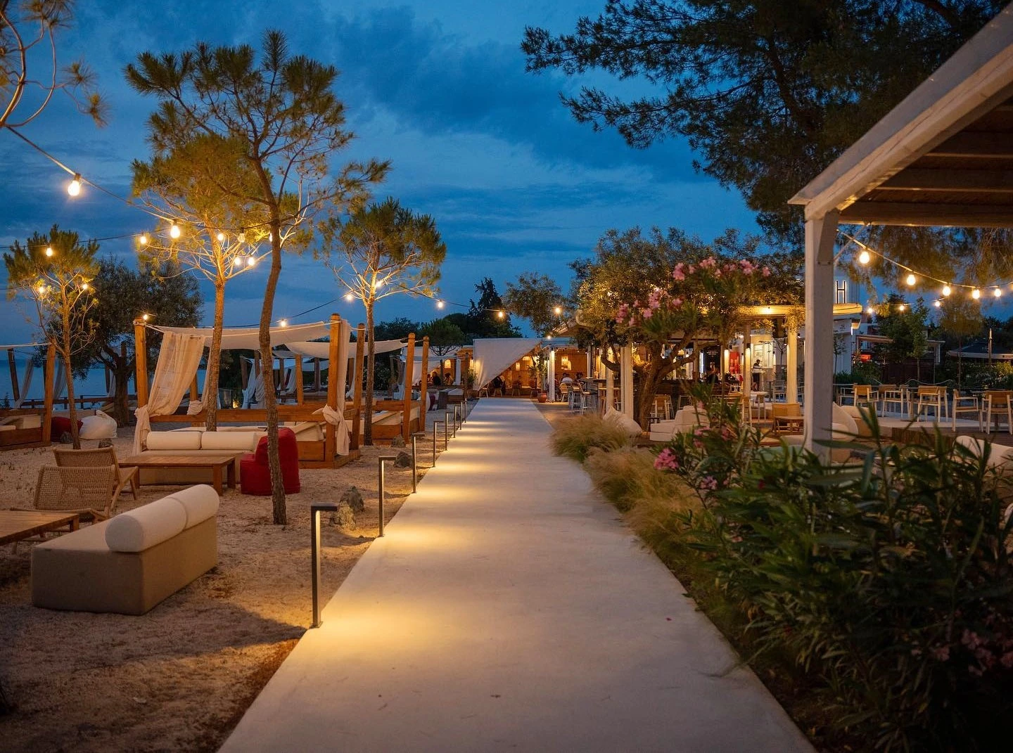 bokeh1.jpg?v=0 bokeh1.jpg?v=0