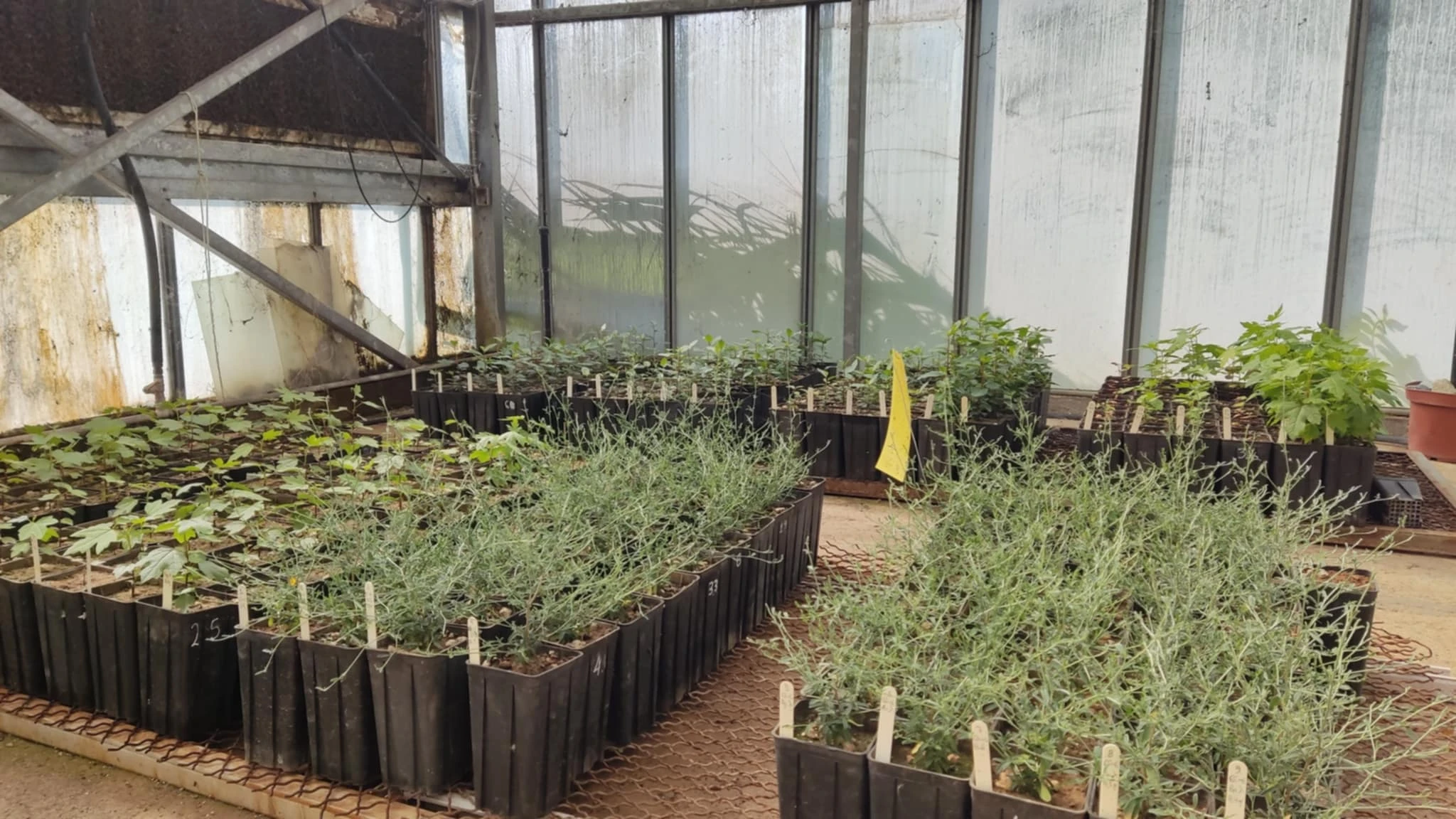 dd616516-1b32-4c9e-ab1b-2c8bd407304a.jfif?v=0