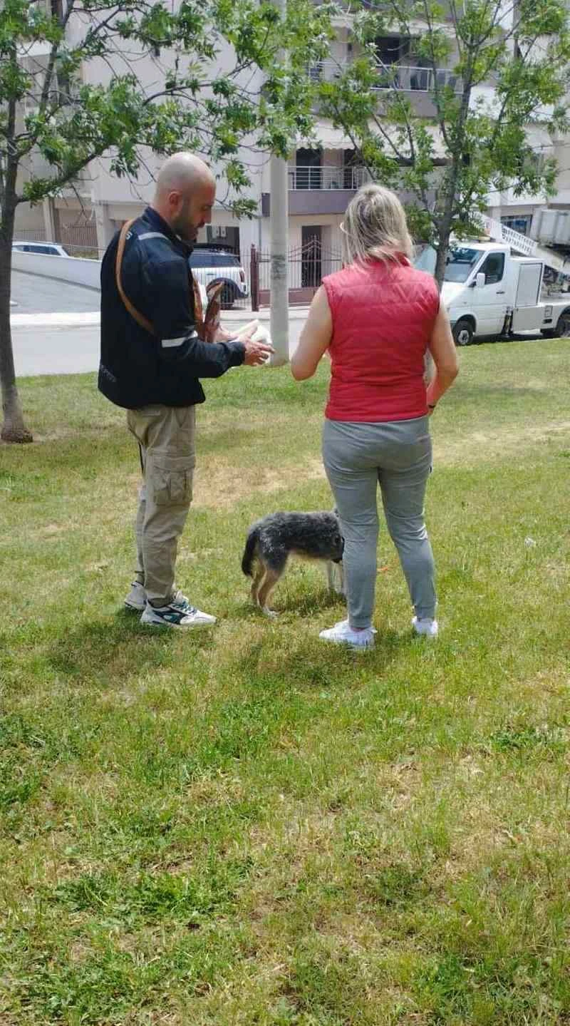 despozomema-zoa2.jpg?v=0