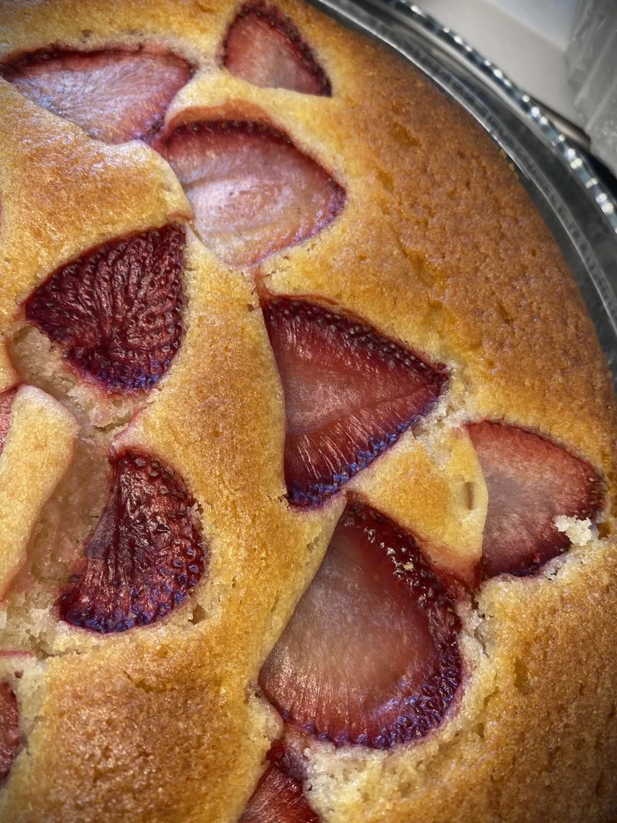 domestik21.jpg?v=0 domestik21.jpg?v=0