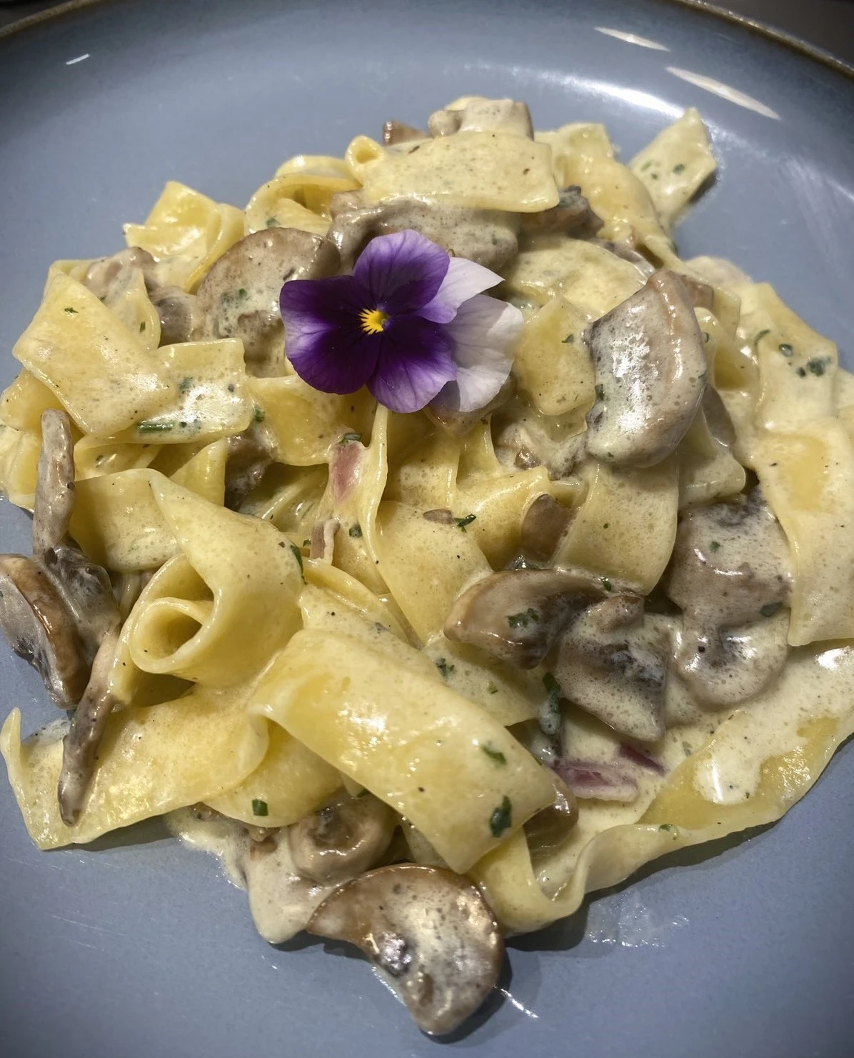 domestik3.jpg?v=0 domestik3.jpg?v=0