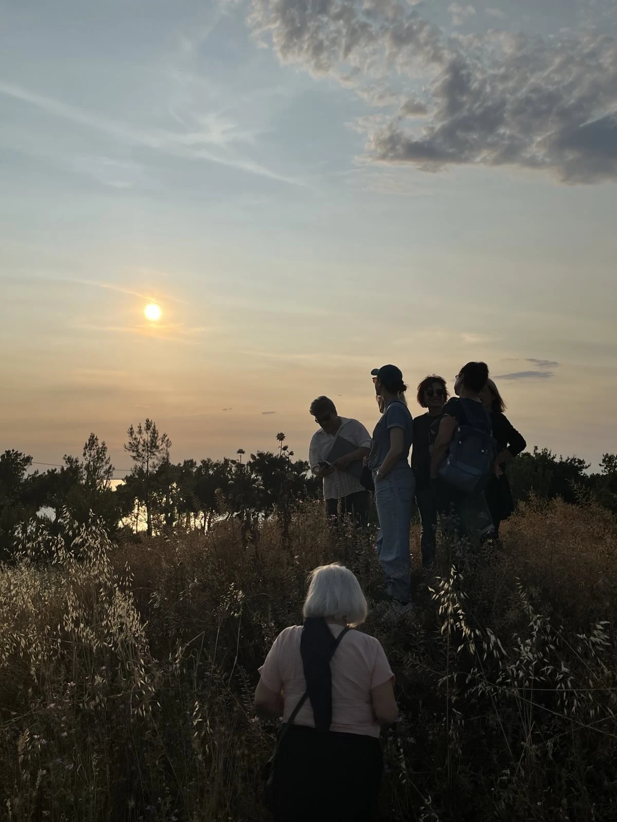 kalamaria-peripatos-kodra1.jpg?v=0 kalamaria-peripatos-kodra1.jpg?v=0