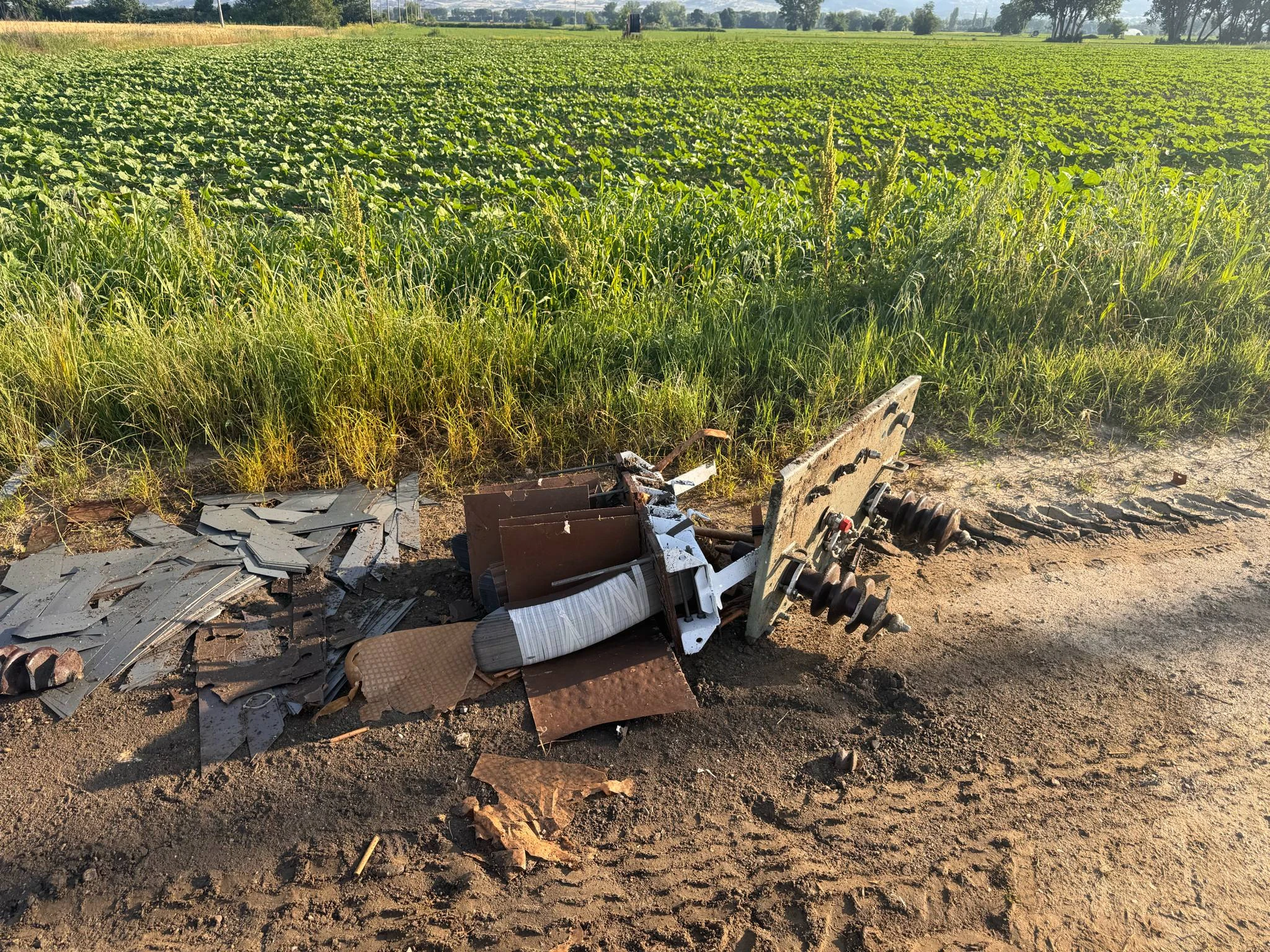 metasximatistes-lagkadikia-1.jpg?v=0