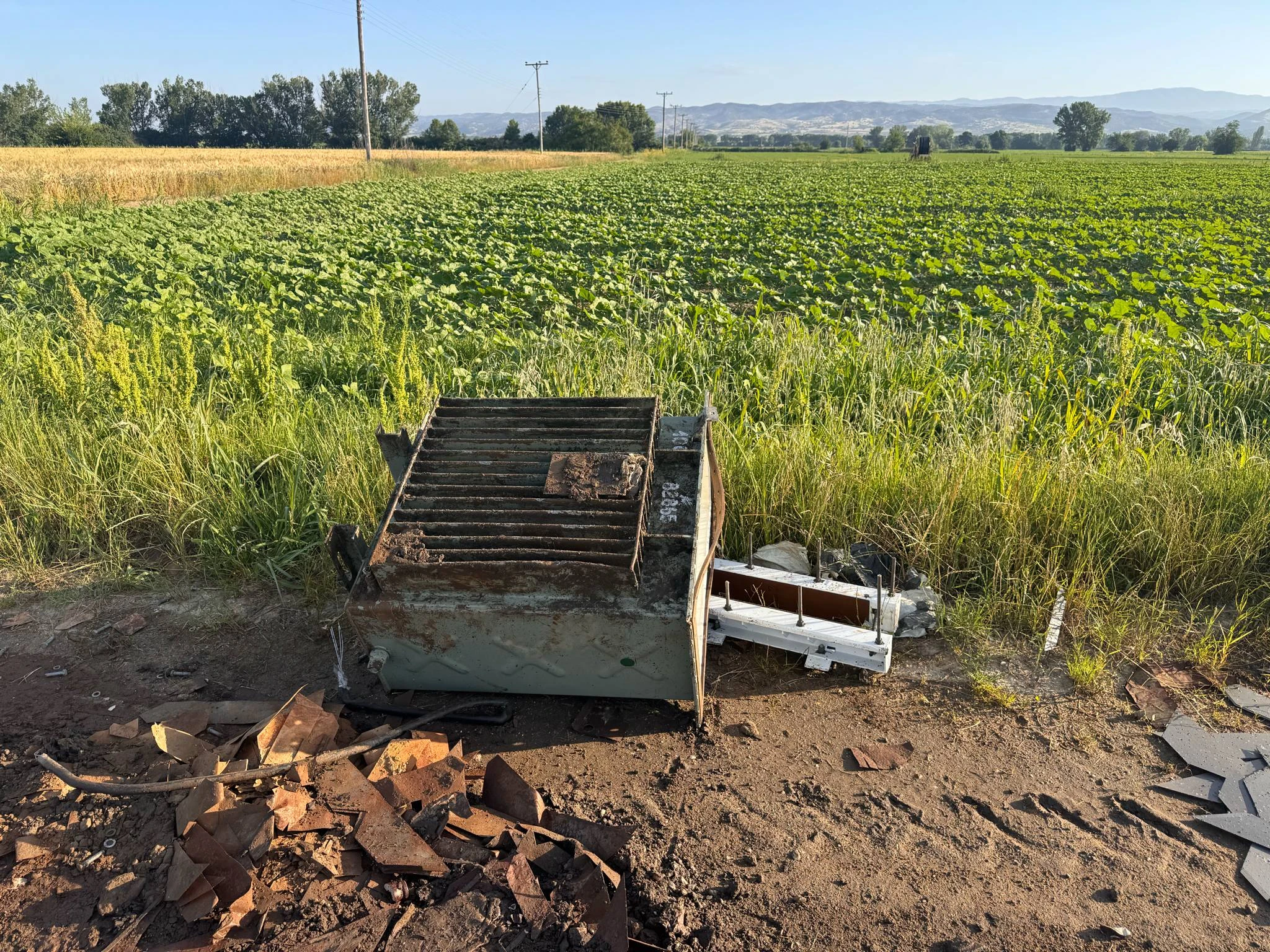 metasximatistes-lagkadikia-2.jpg?v=0