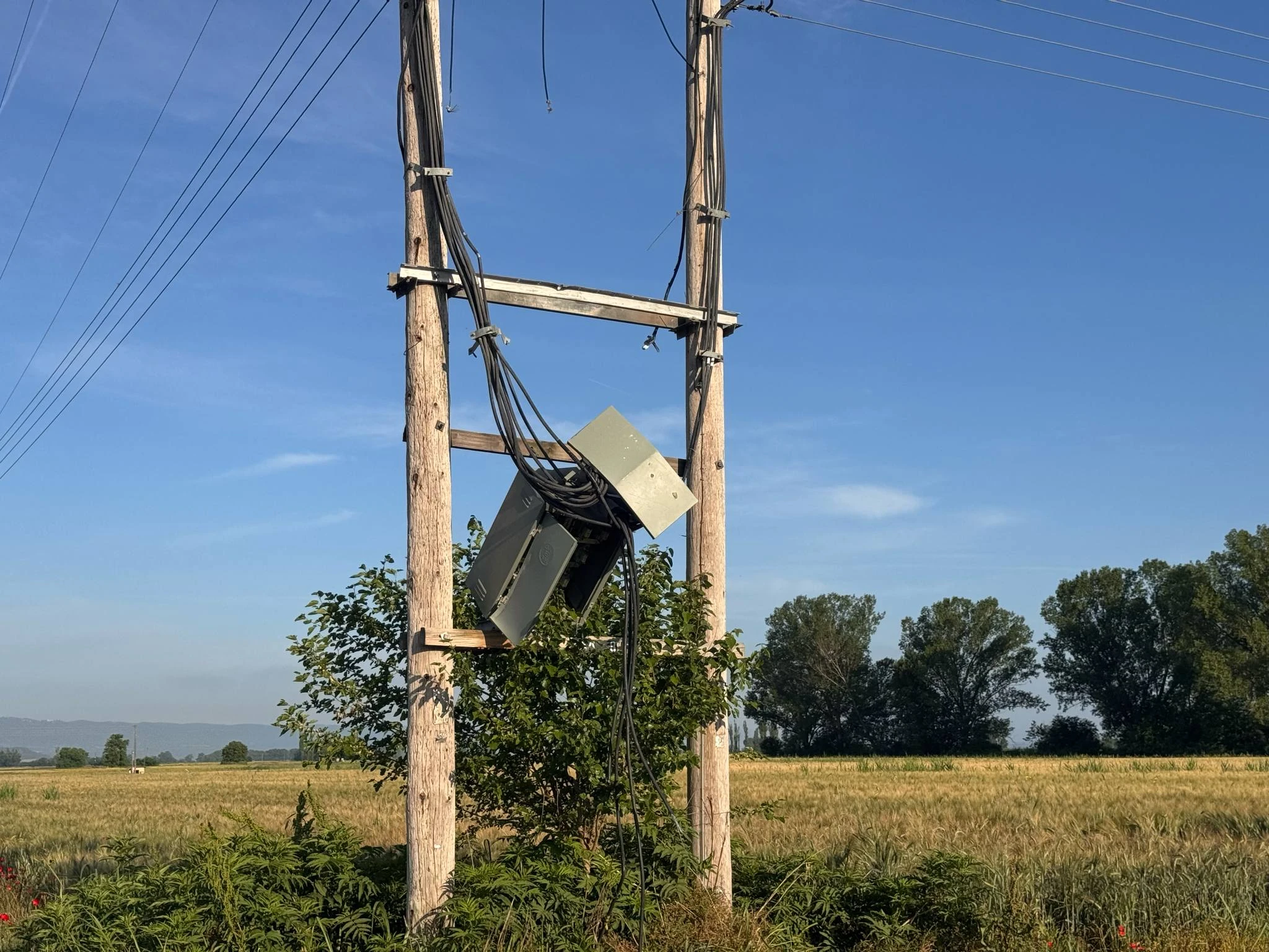 metasximatistes-lagkadikia-3.jpg?v=0