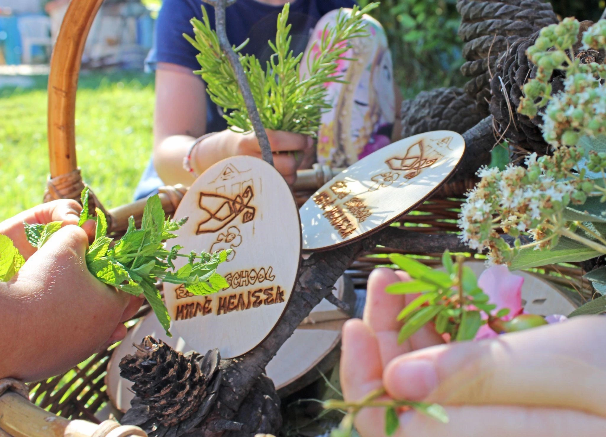 mple-melissa15.jpg?v=0