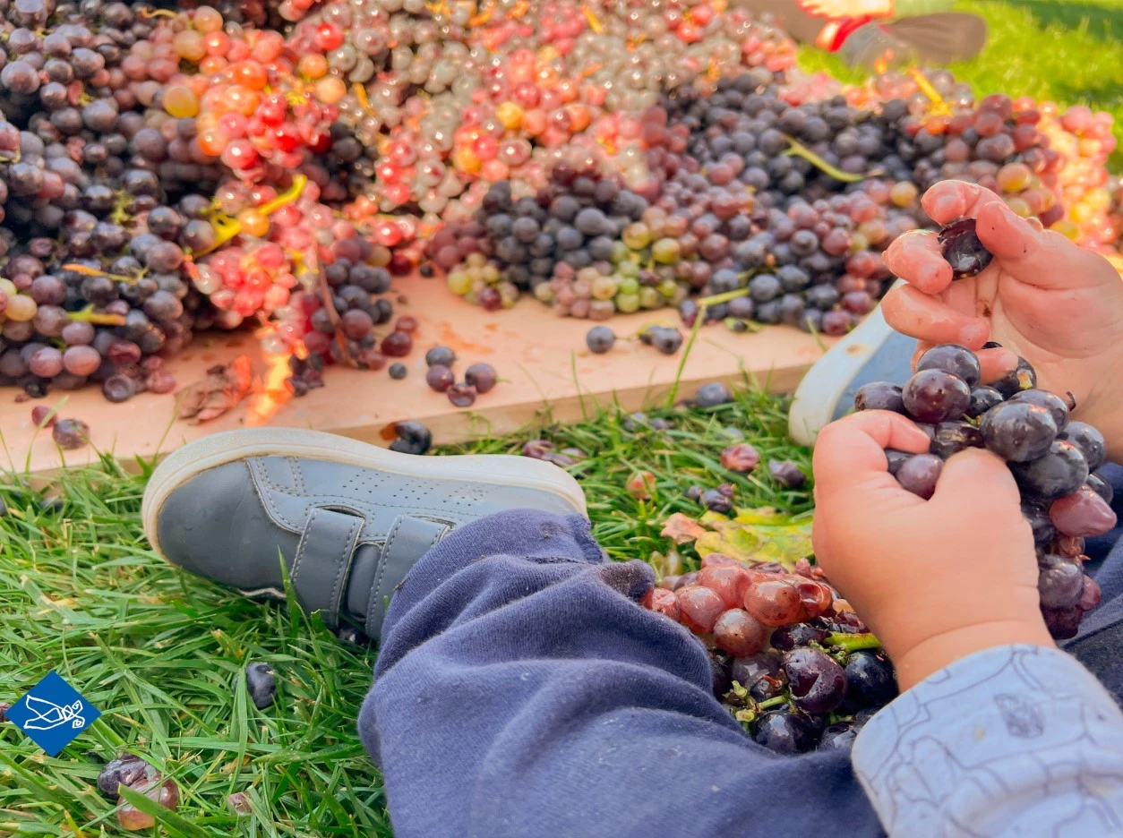 mple-melissa16.jpg?v=0