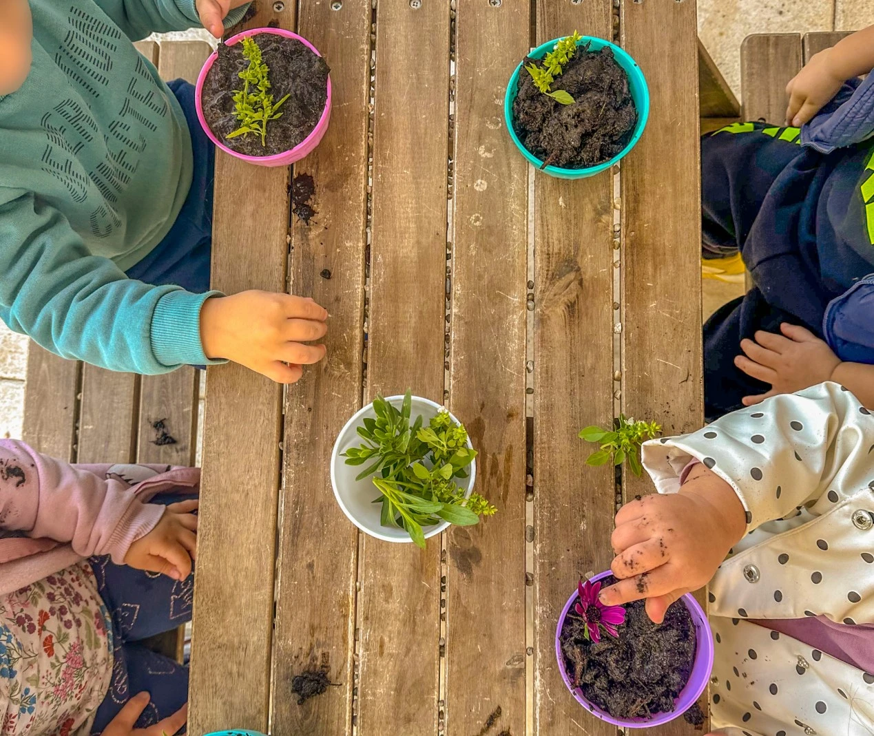 mple-melissa19.jpg?v=0