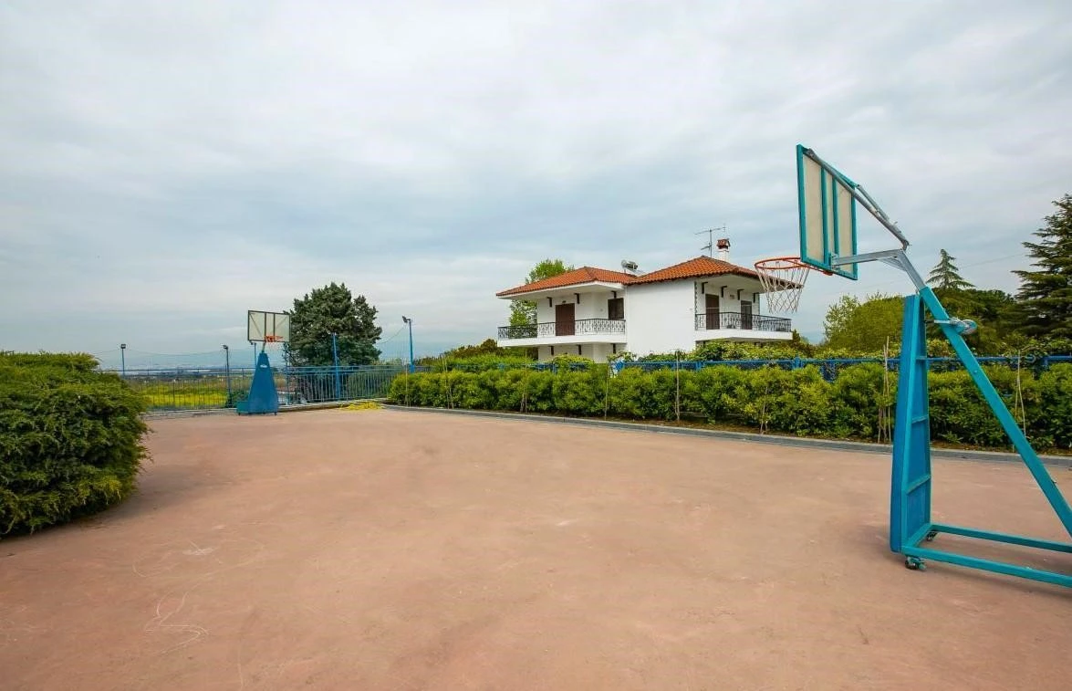 mple-melissa22.jpg?v=0