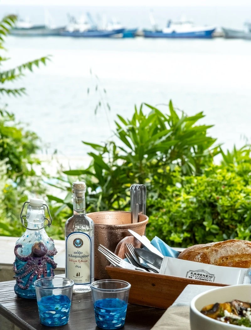 to-sermpeti16.jpg?v=0