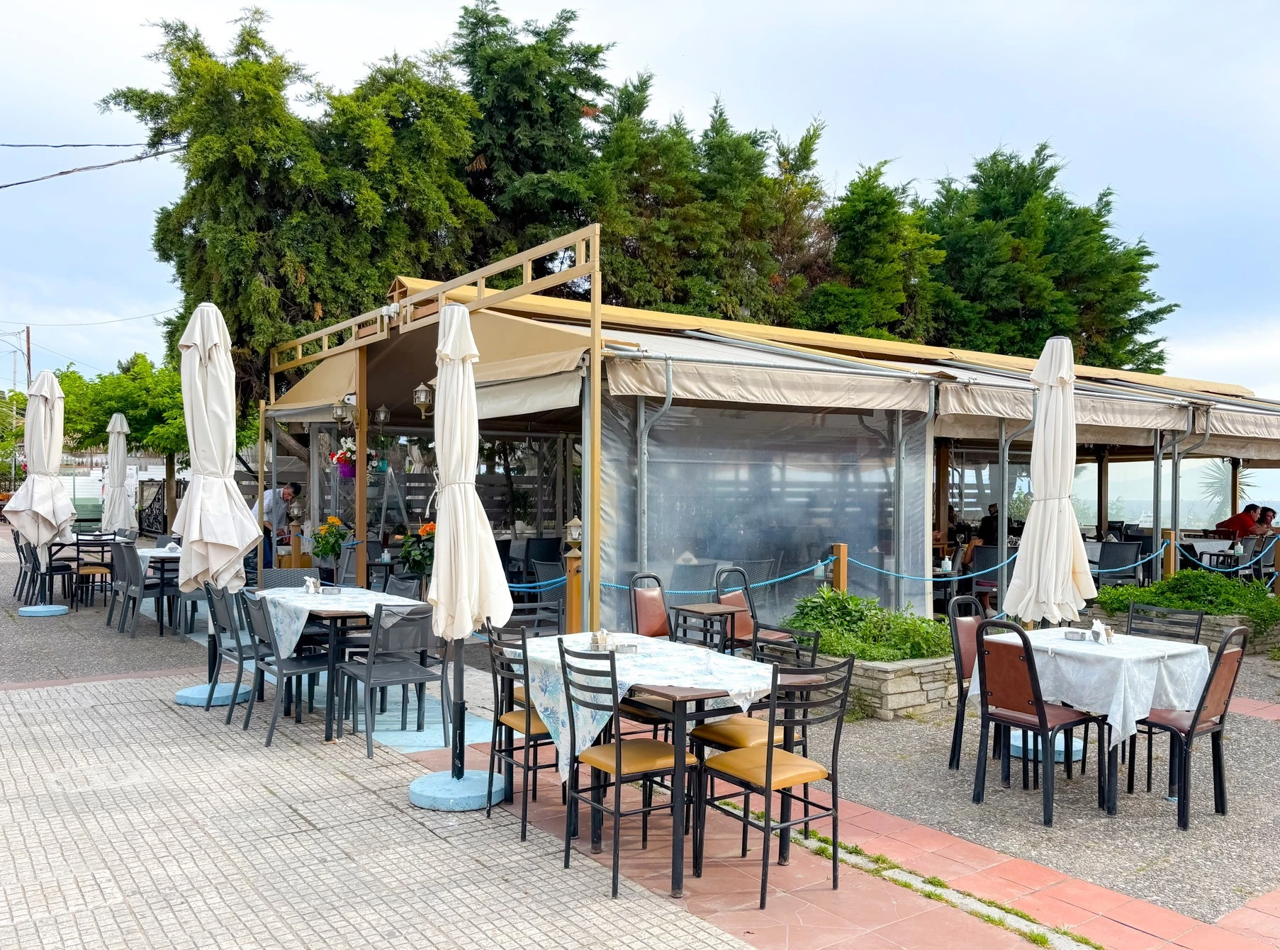 to-sermpeti4.jpg?v=0