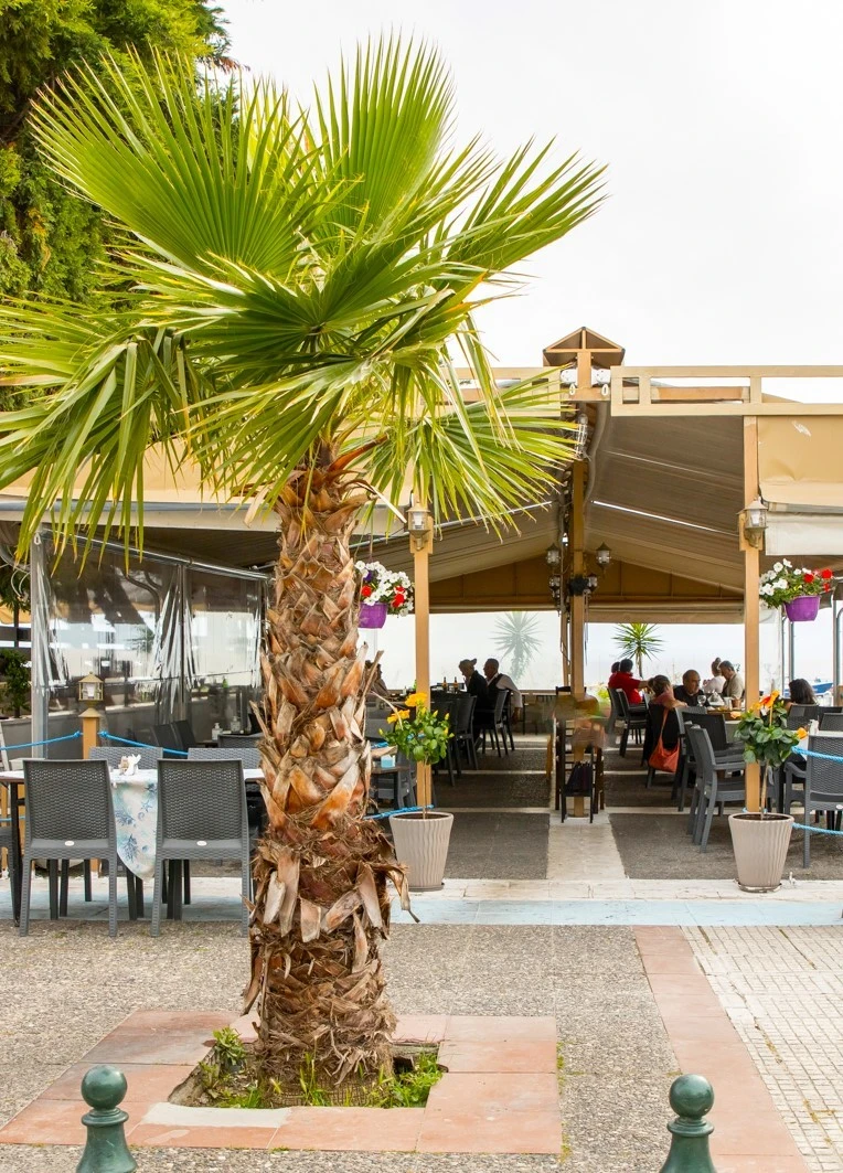 to-sermpeti5.jpg?v=0