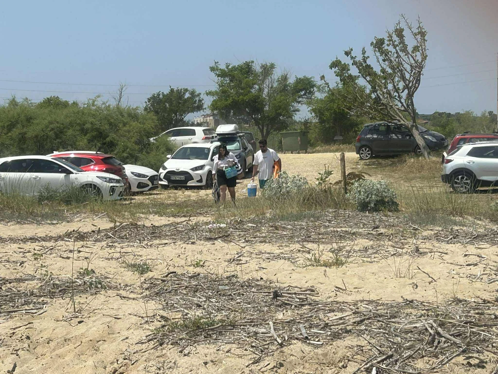 495072151-589242907553025-8782337499755159037-n.jpg?v=0