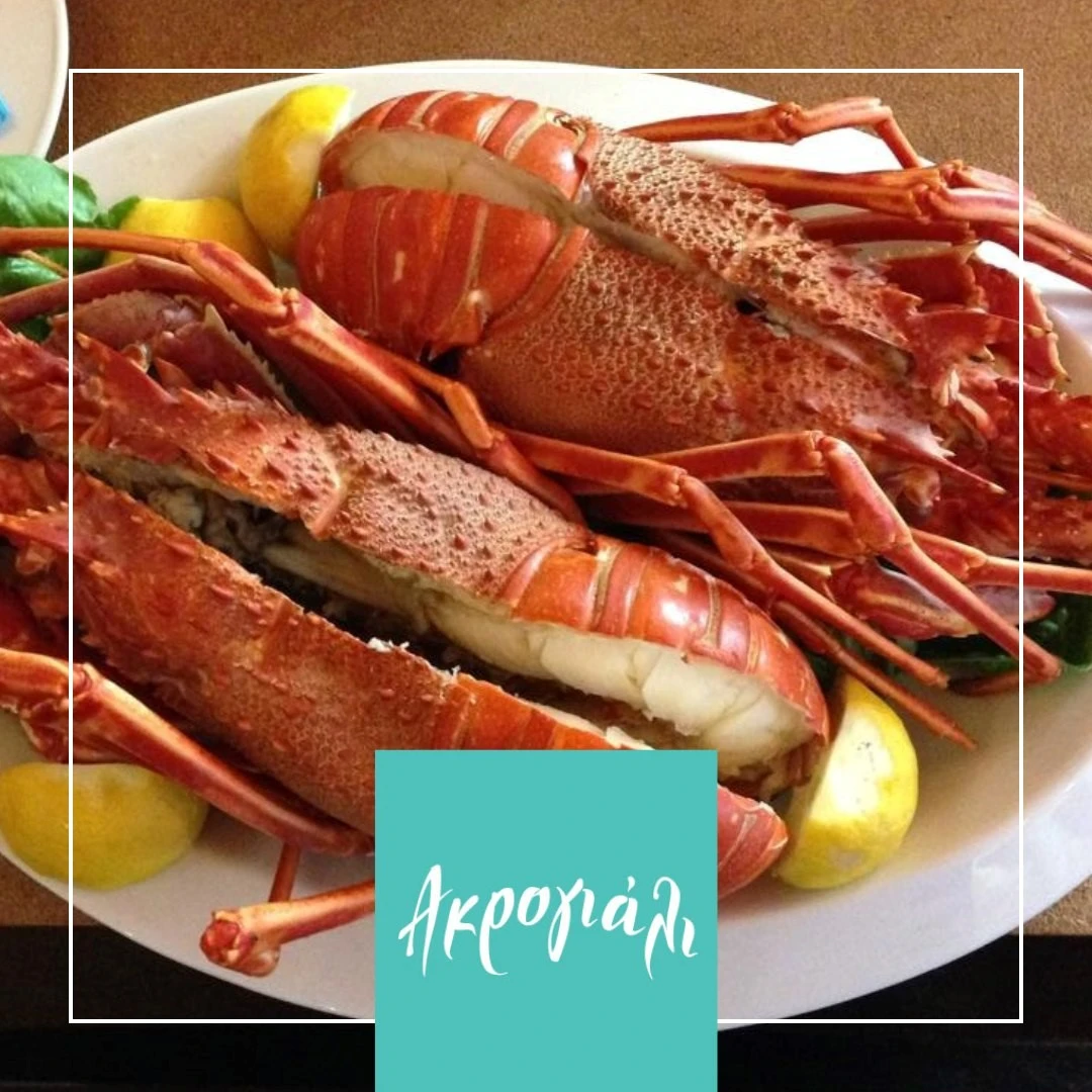 akroghiali14.jpg?v=0