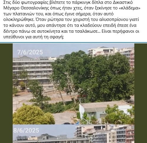 dentra-dikastiria-antidraseis.png?v=0