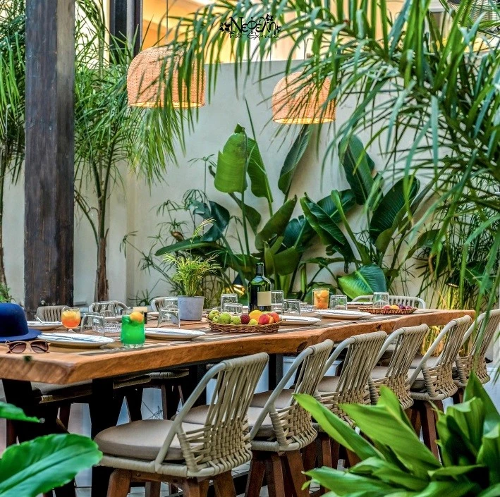 nefeli-garden-2.jpg?v=0