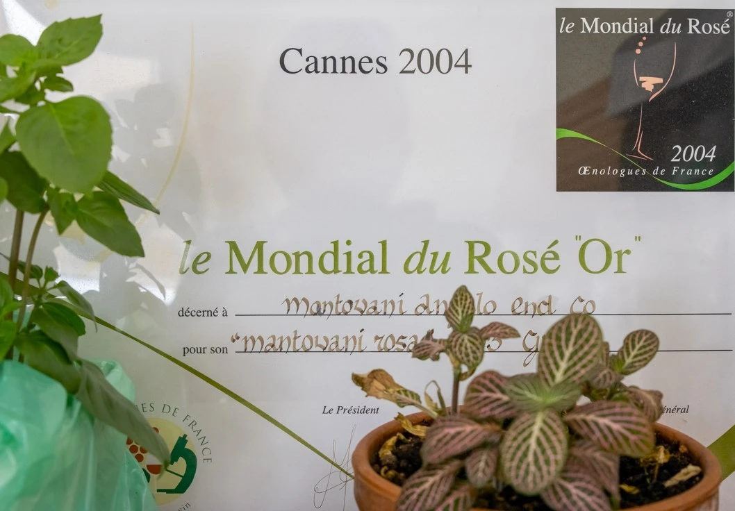 o-italos20.jpg?v=0 o-italos20.jpg?v=0