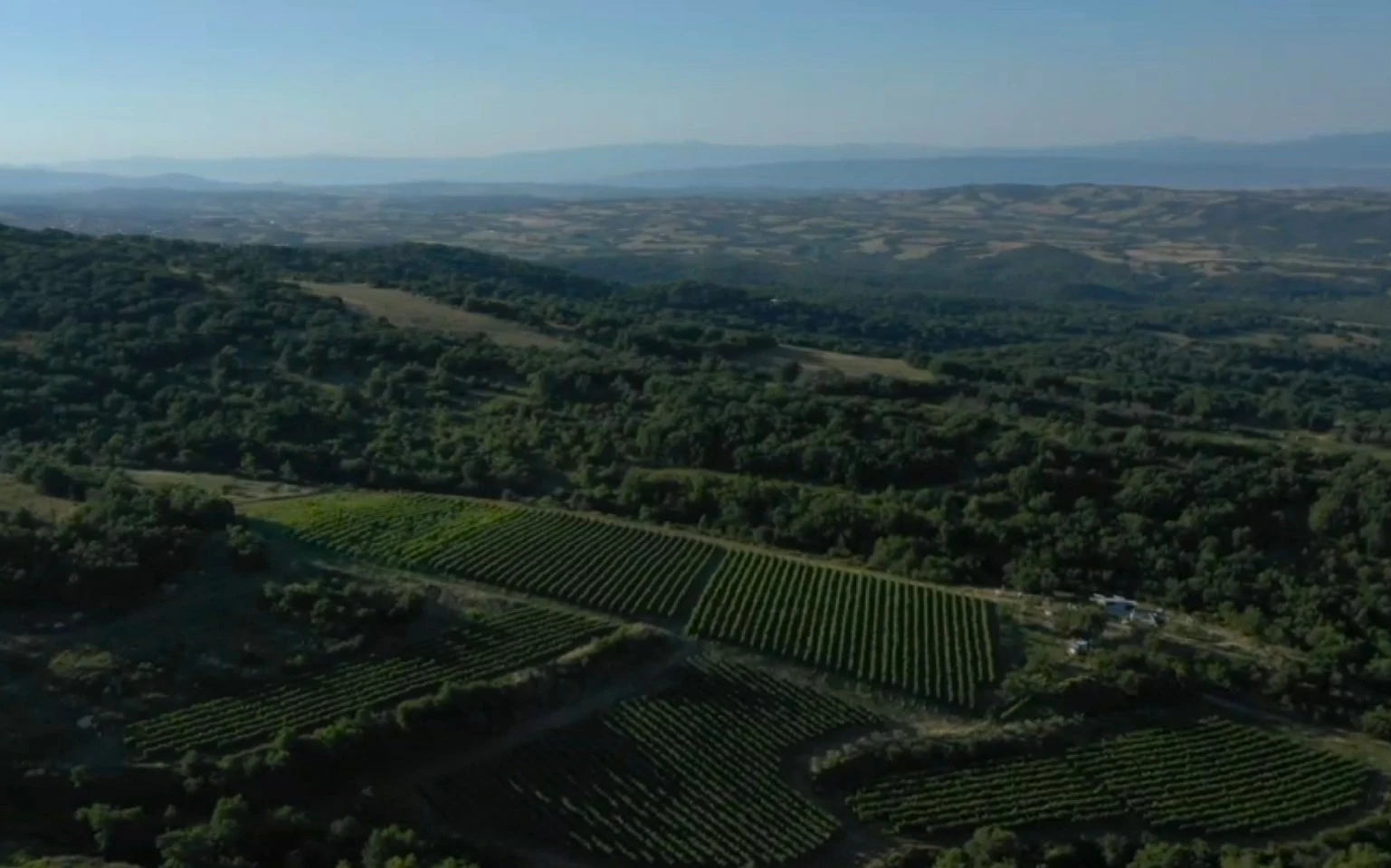 o-italos3.jpg?v=0 o-italos3.jpg?v=0