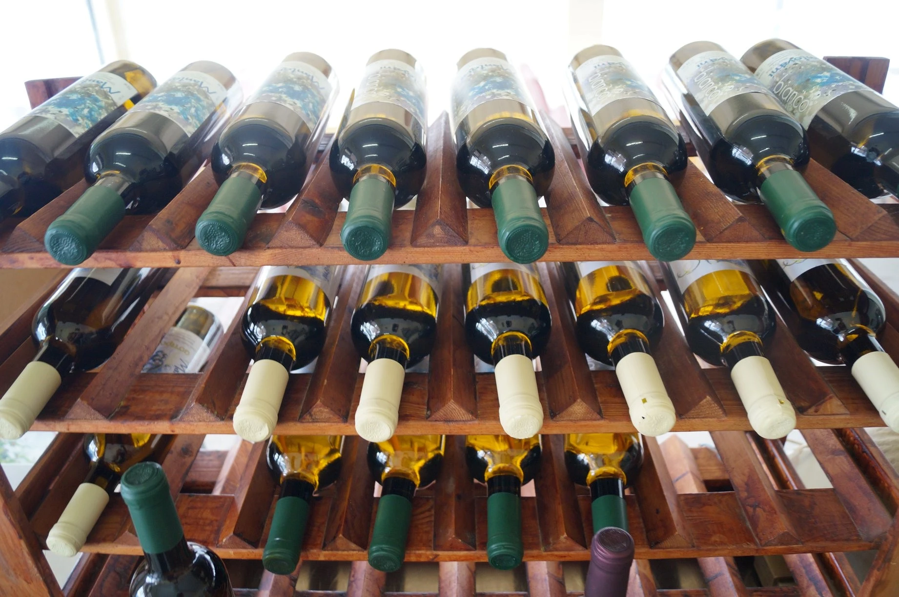 o-italos6.jpg?v=0 o-italos6.jpg?v=0