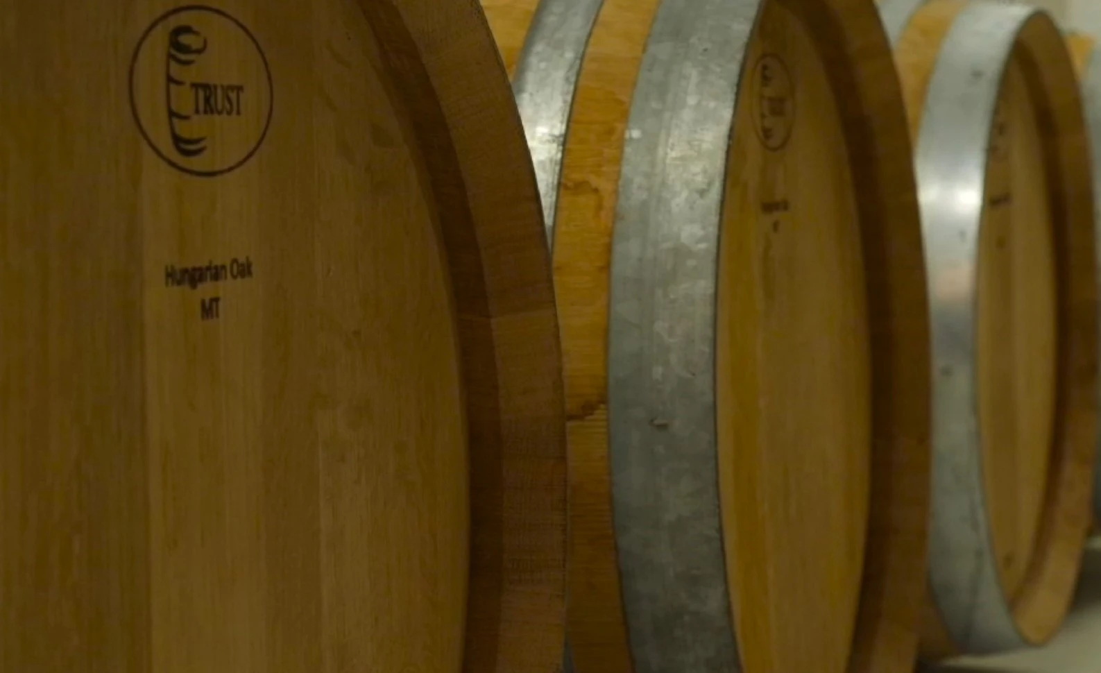 o-italos9.jpg?v=0 o-italos9.jpg?v=0