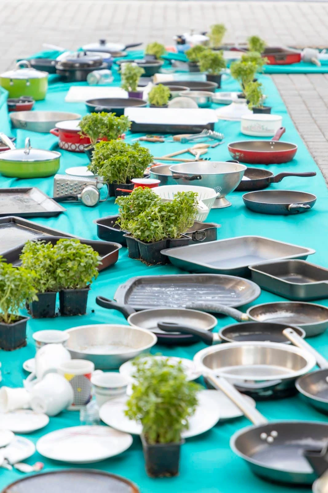 unnamed-30-o7IID.jpg?v=0