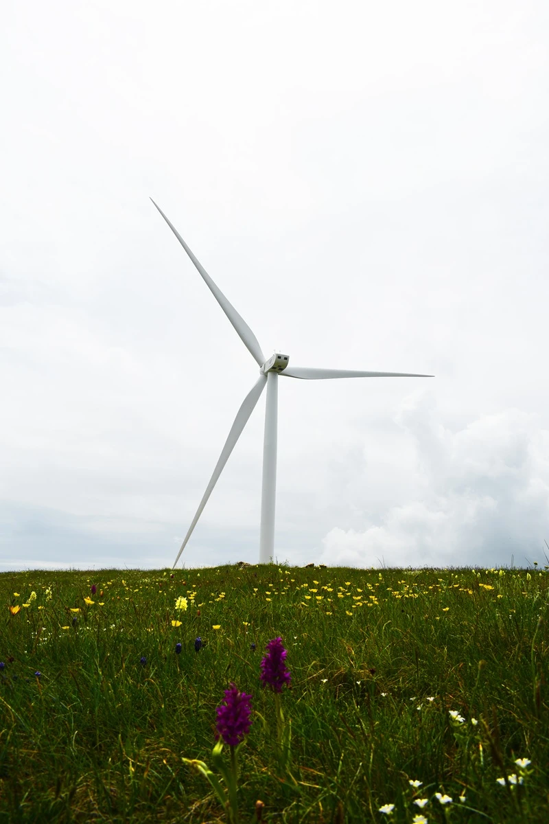 Φωτογραφία Ηλίας Δημητρίου