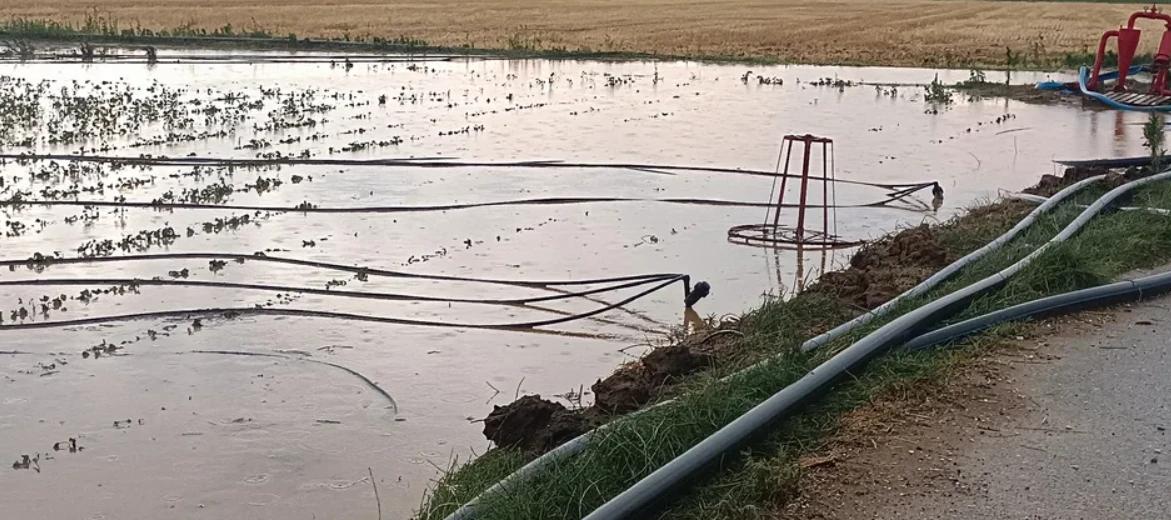 domokos-kakokairia-1.png?v=0