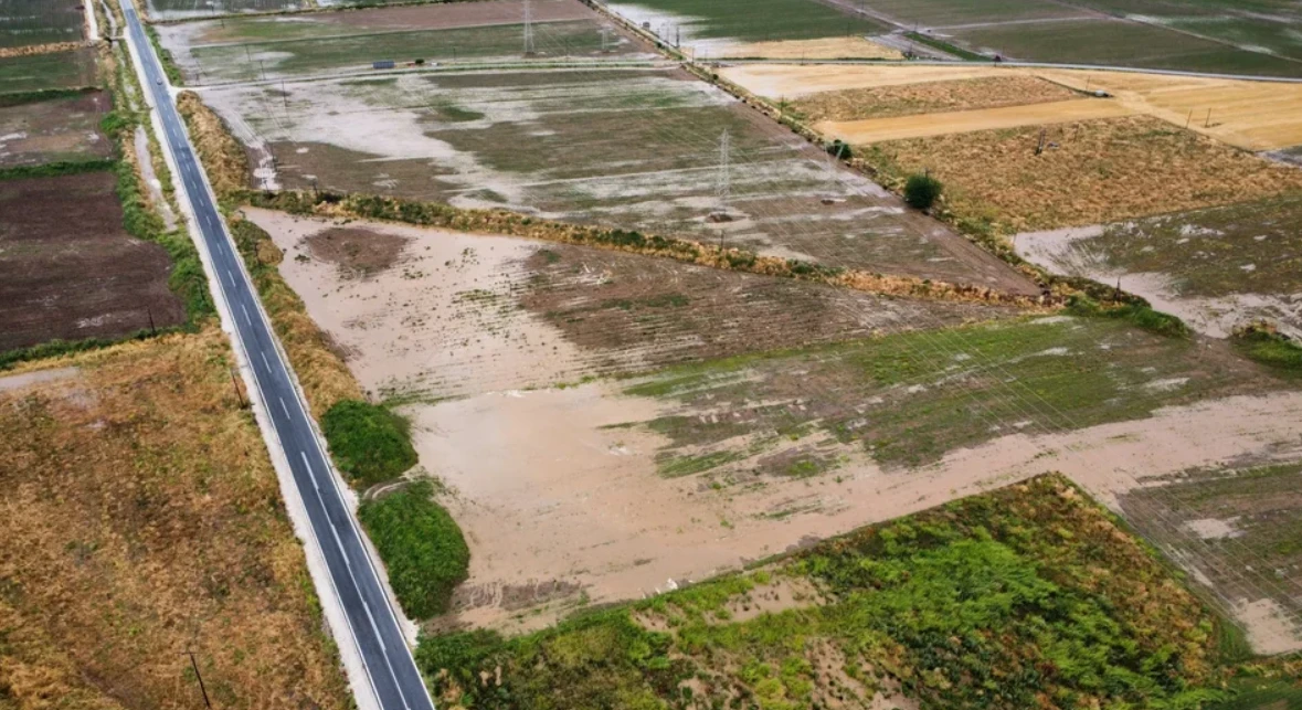 domokos-kakokairia-2.png?v=0