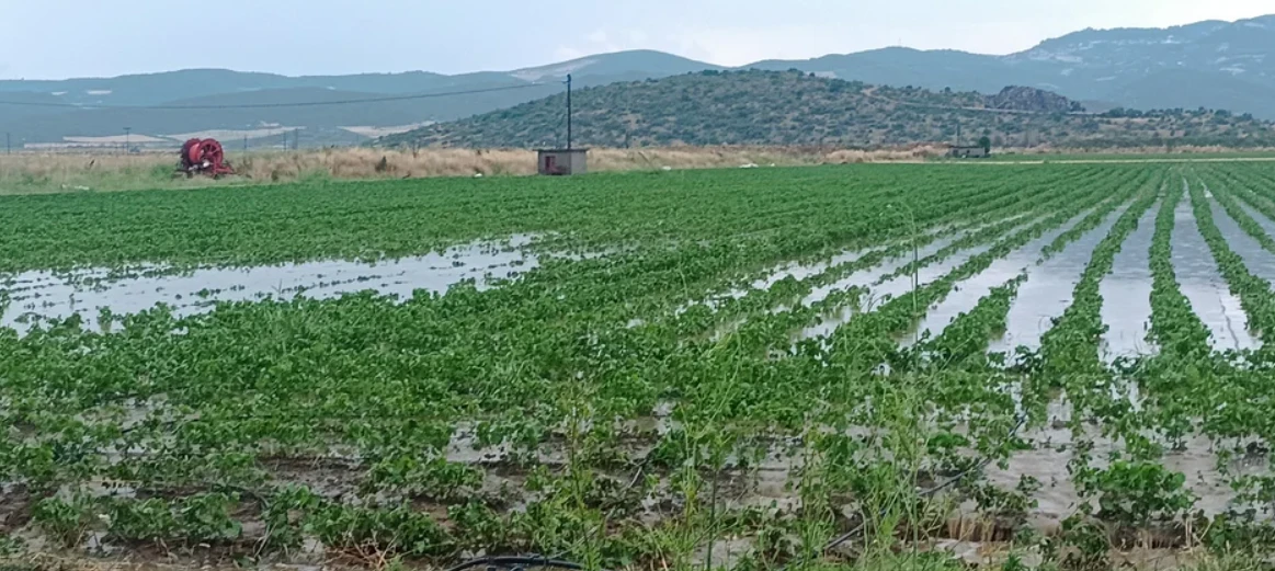 domokos-kakokairia-4.png?v=0