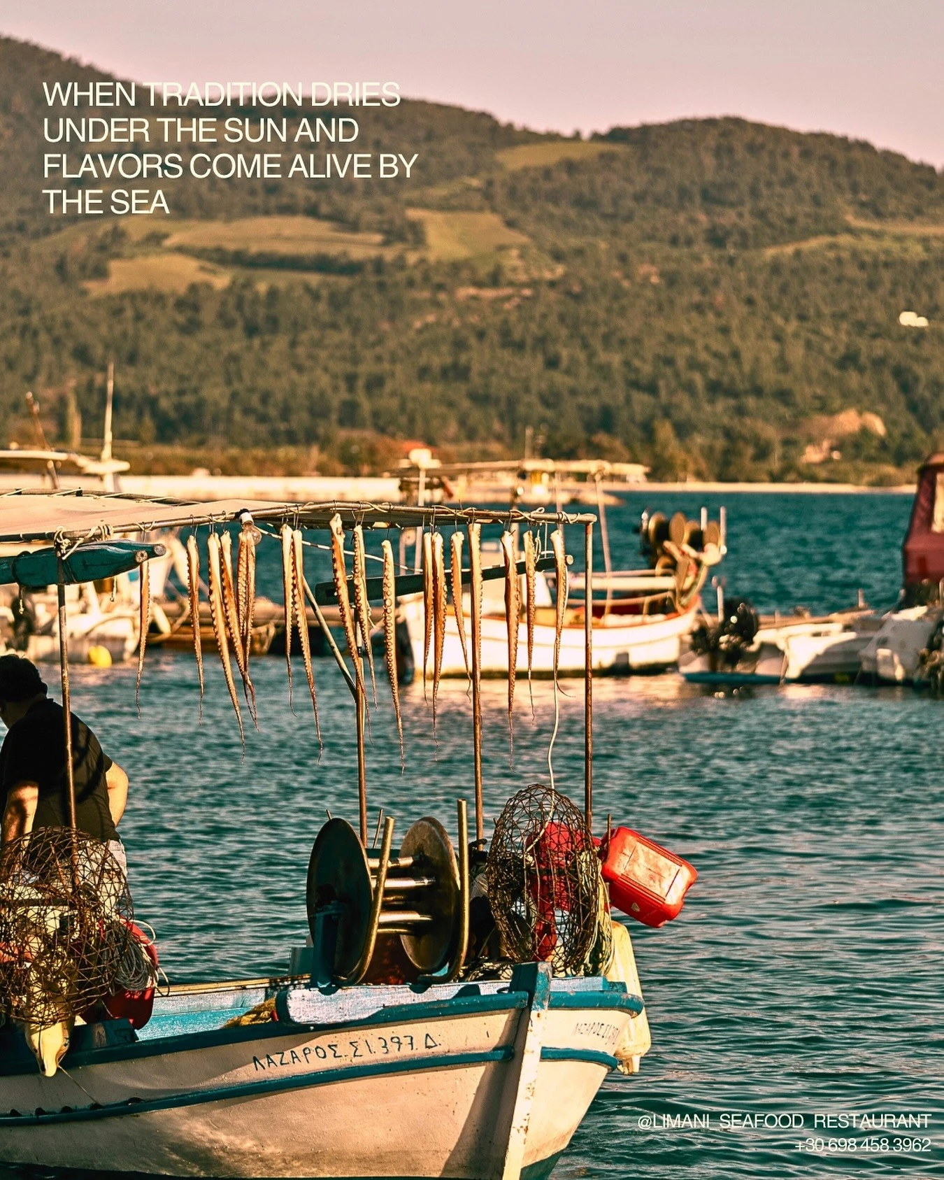 limani-4.jpg?v=0 limani-4.jpg?v=0