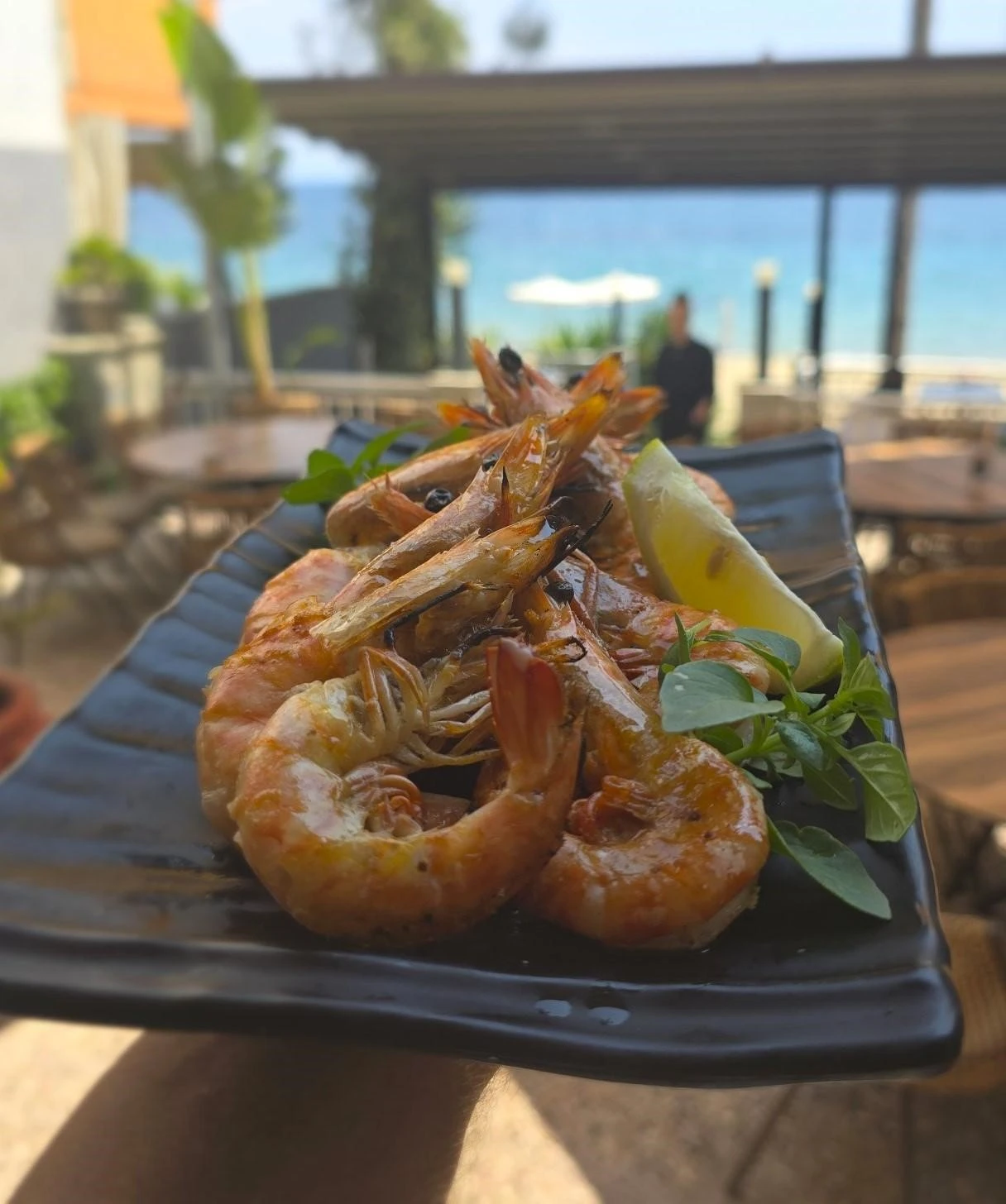 mikyverna2.jpg?v=0 mikyverna2.jpg?v=0