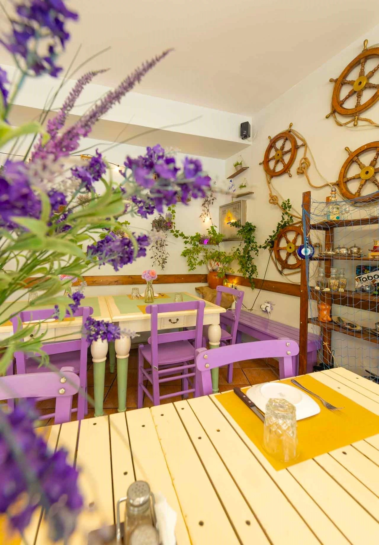 ntarntana-florina-3.jpg?v=0