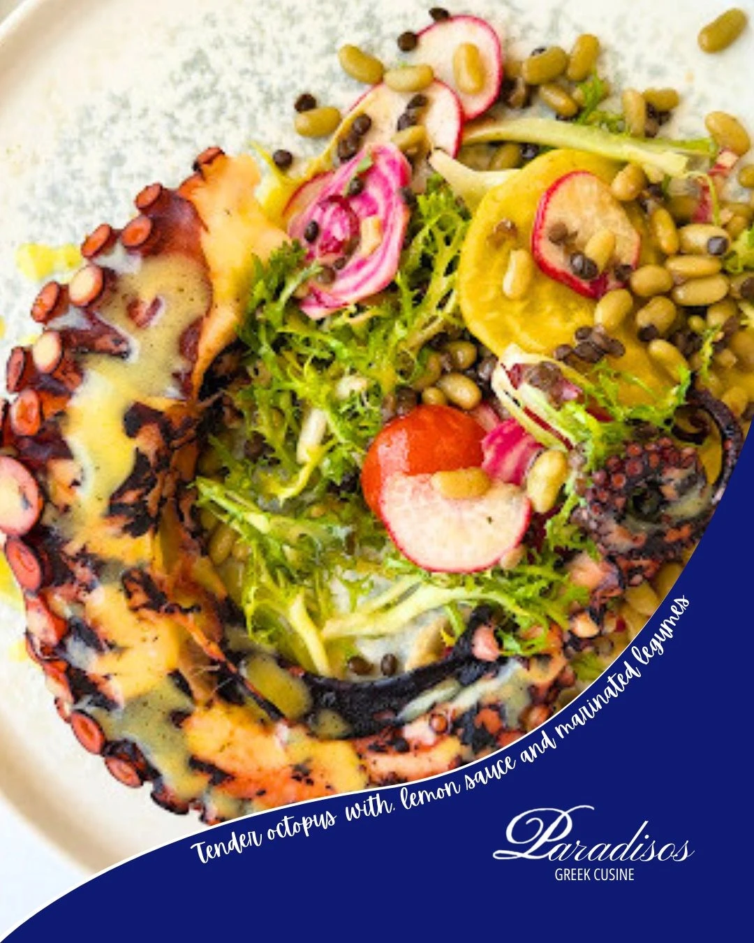 paradeisos14.jpg?v=0 paradeisos14.jpg?v=0