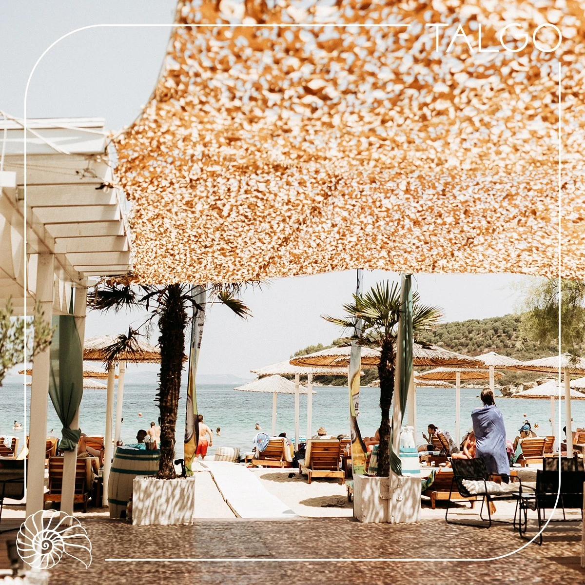 talgo6.jpg?v=0 talgo6.jpg?v=0