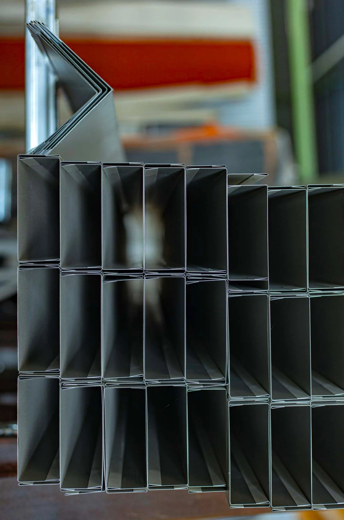 thalamodomi9.jpg?v=0