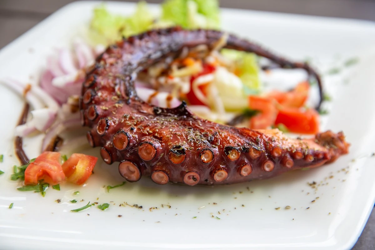 to-loykoumi-17.jpg?v=0