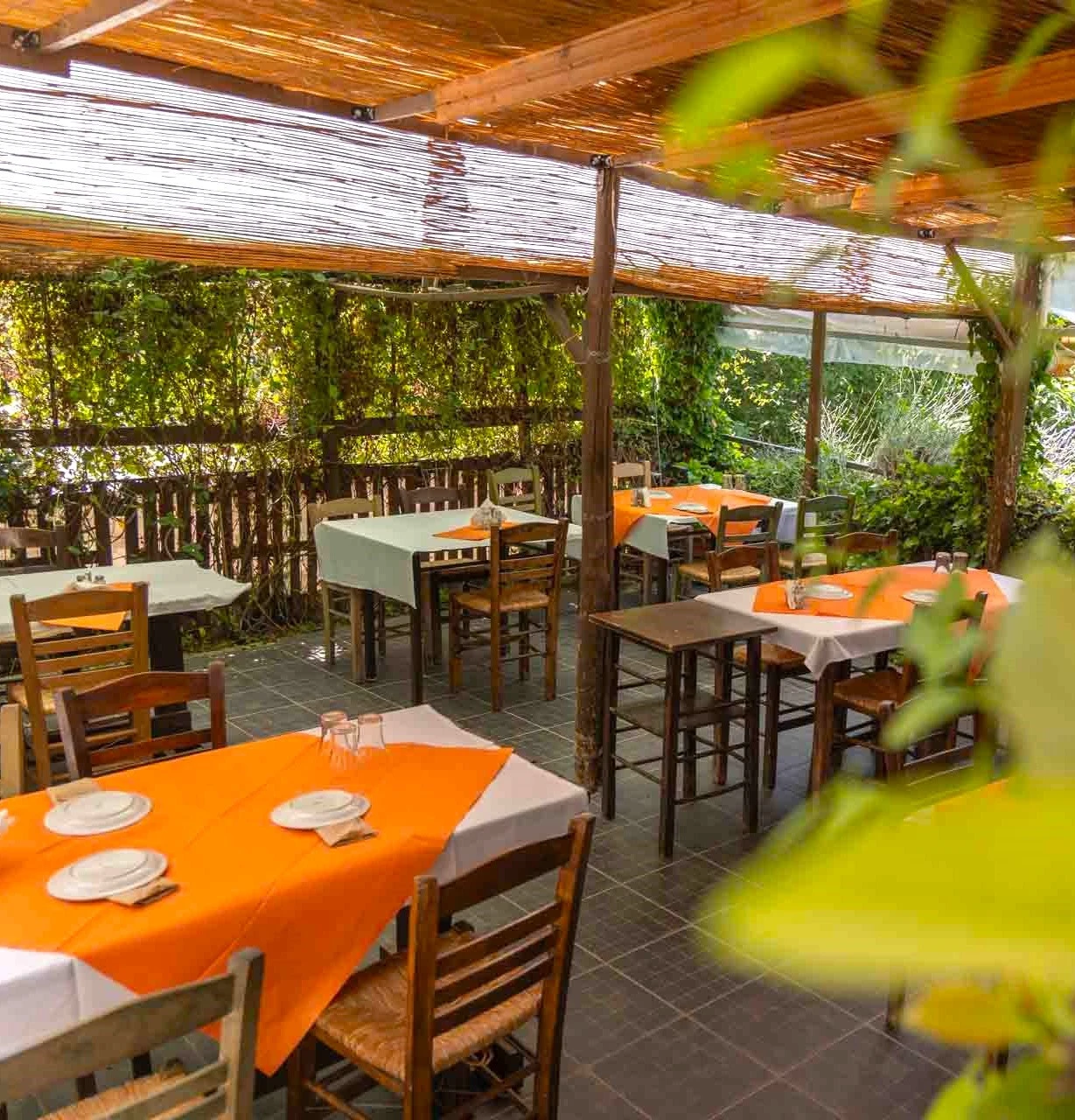 to-loykoumi-25.jpg?v=0