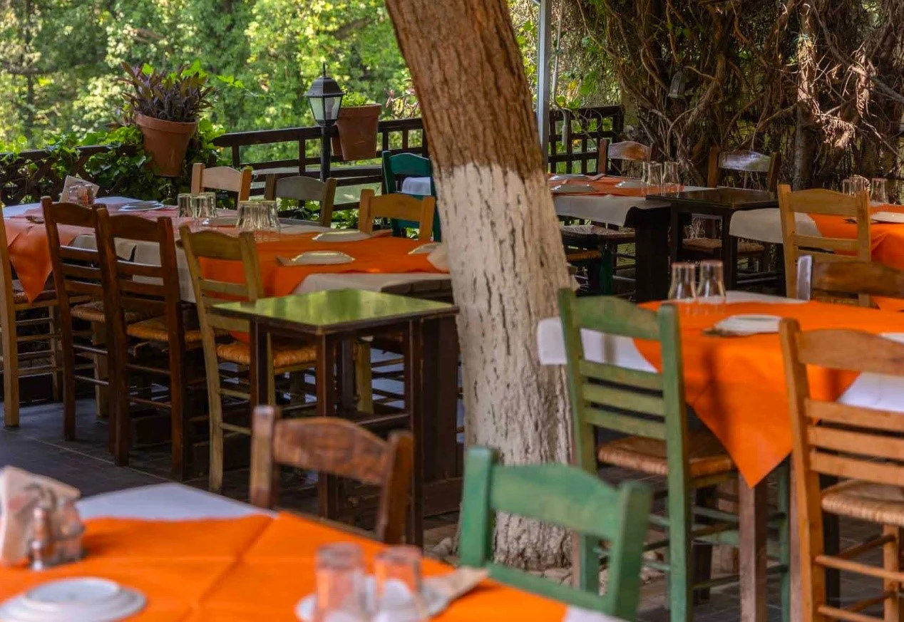 to-loykoumi-4.jpg?v=0