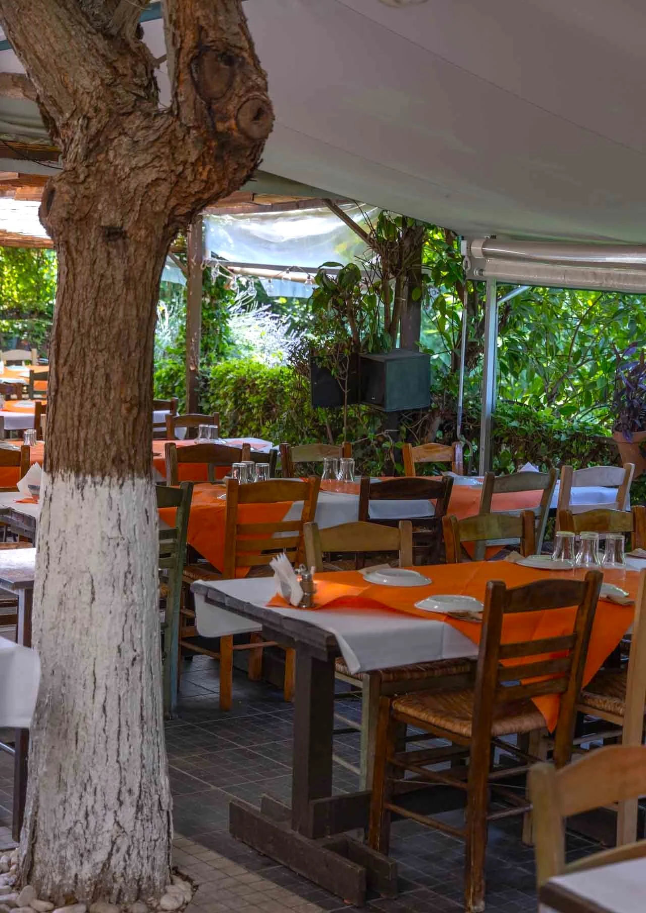 to-loykoumi-5.jpg?v=0