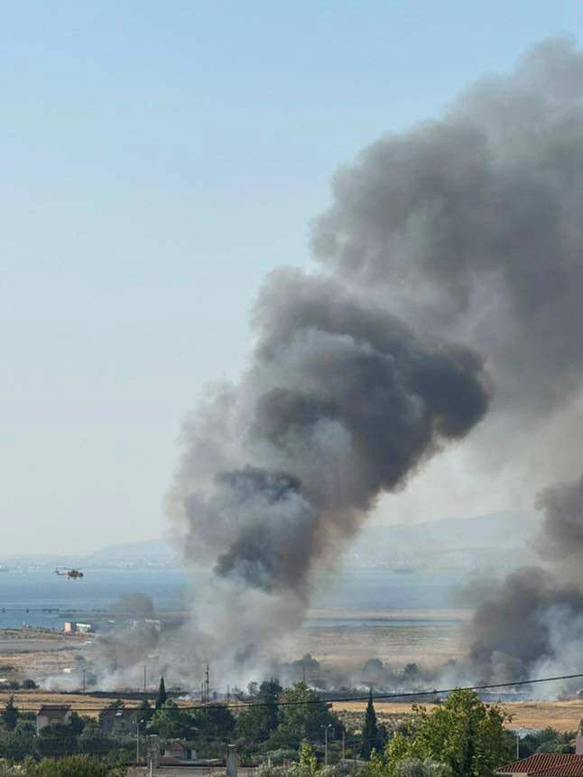 tsairia-fwtia-2025-1.jpg?v=0