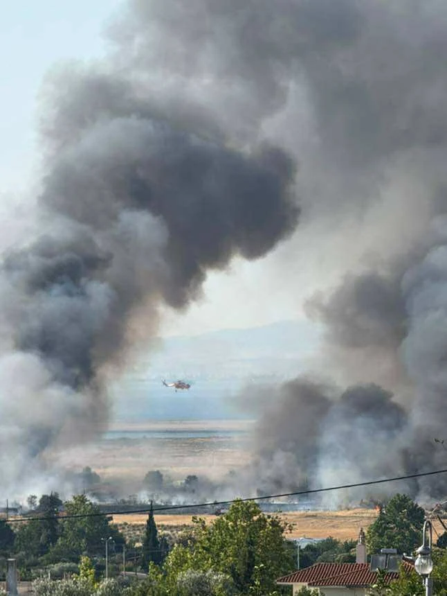 tsairia-fwtia-2025-3.jpg?v=0