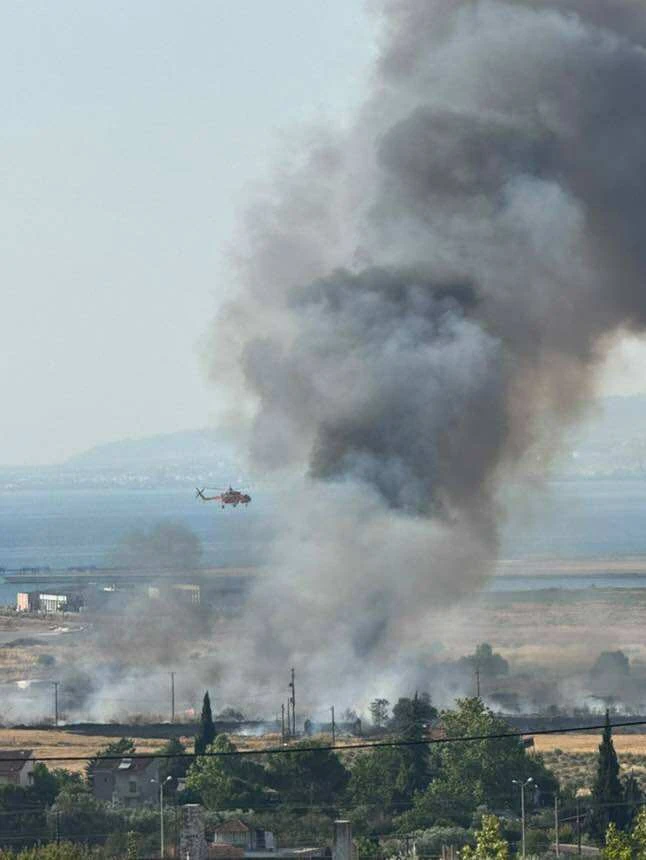 tsairia-fwtia-2025-4.jpg?v=0