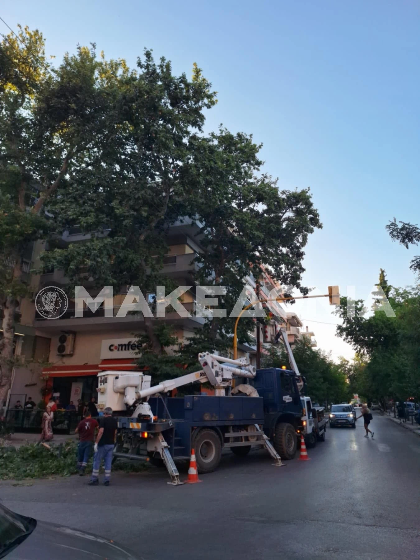 7638f8a5-2a92-40c4-9c13-e673e4213fed.jpg?v=0