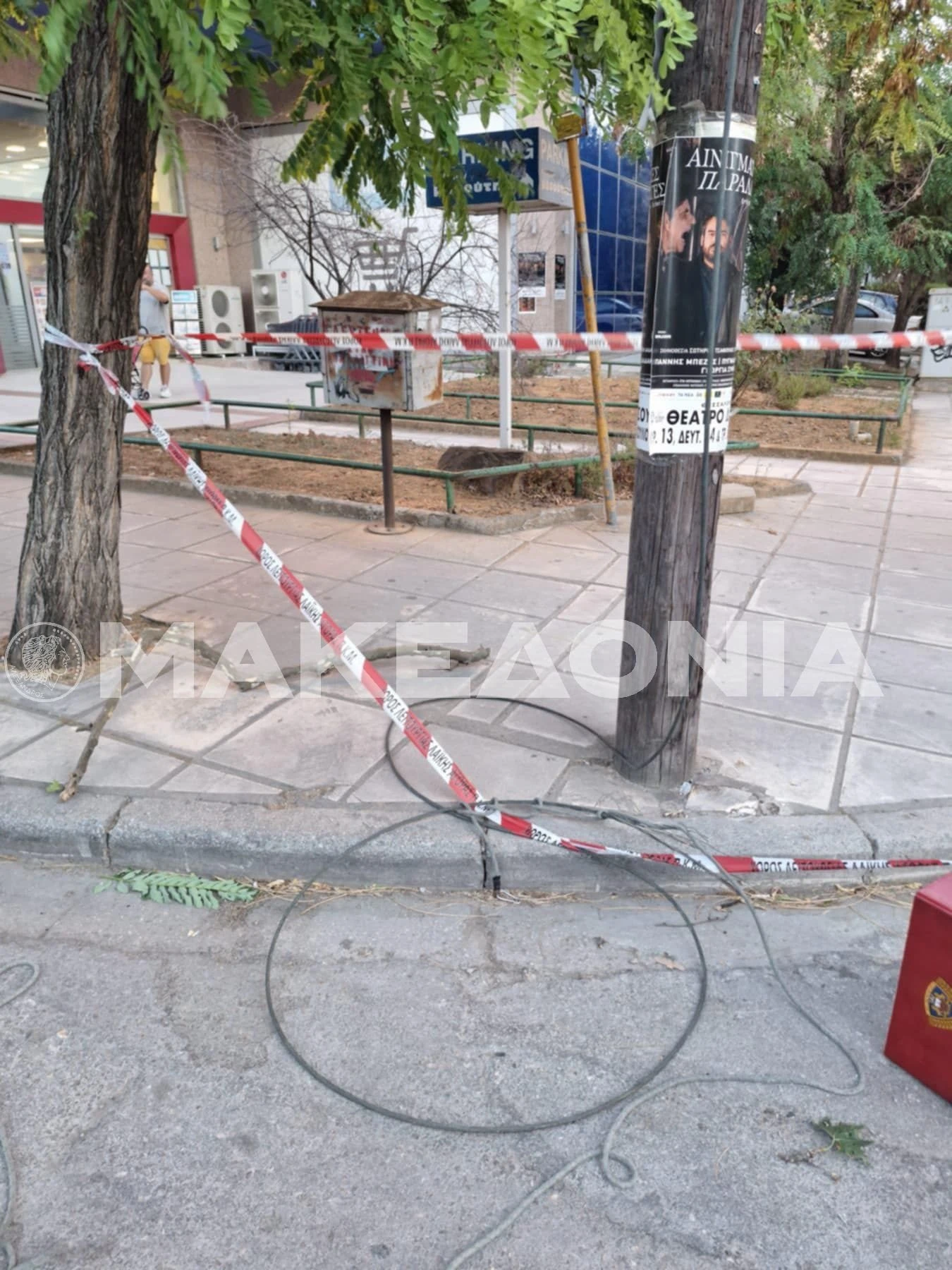 76575882-7e49-4191-a350-8baab2909ed1.jpg?v=0