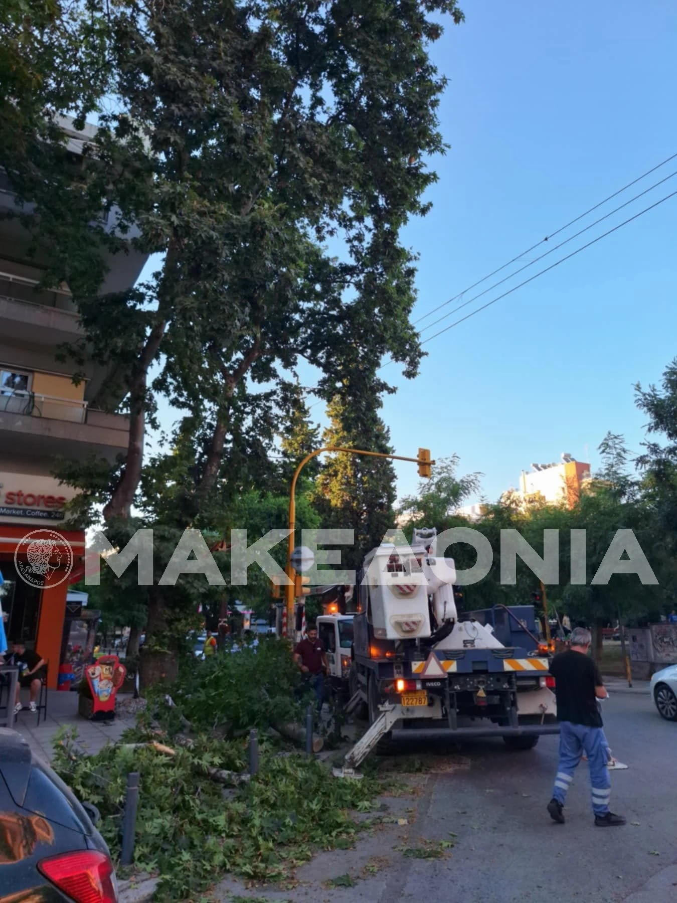 d2e48203-3088-4128-a155-3de1e7460e86.jpg?v=0