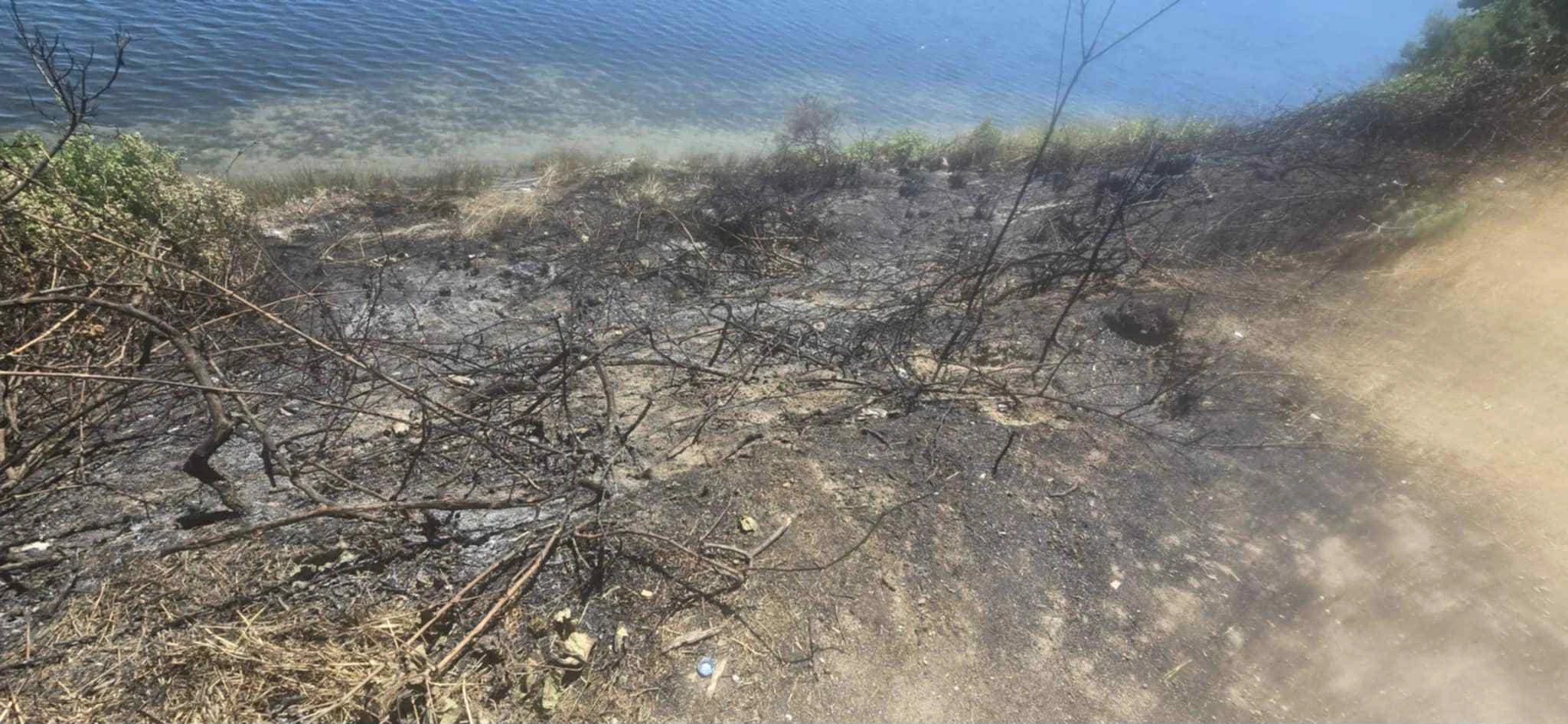 fotia-vourvourou-2.jpg?v=0 fotia-vourvourou-2.jpg?v=0