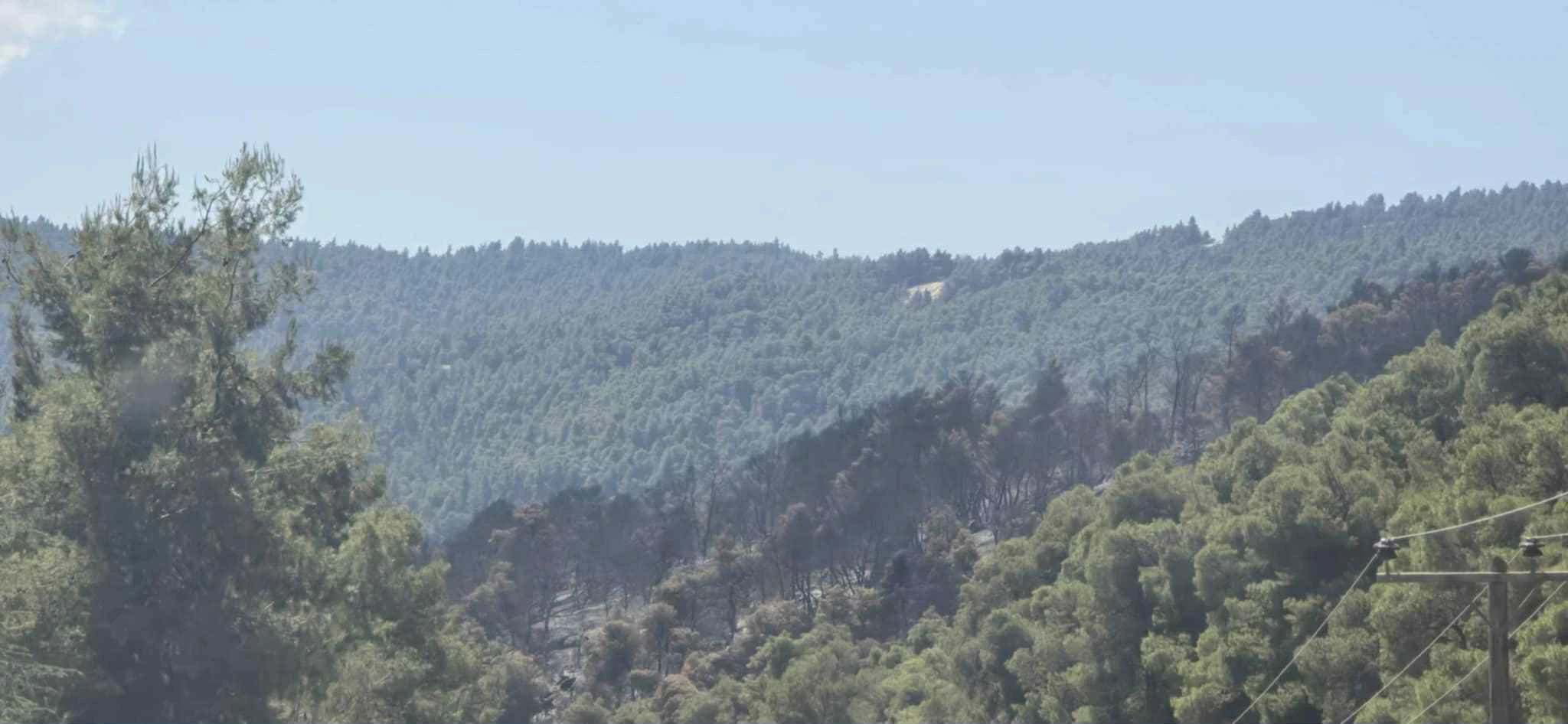 fotia-vourvourou-3.jpg?v=0 fotia-vourvourou-3.jpg?v=0